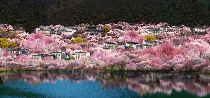 陈可石 ｜ 西藏林芝